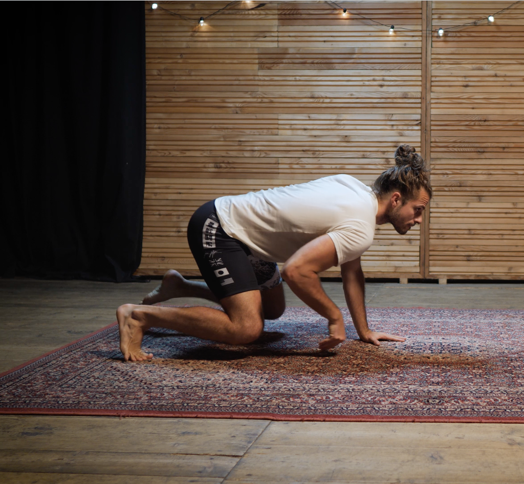 Budokon Mobility Seminar